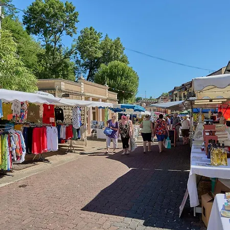 아파트 T2 Avec Jardin Pour 2 Pers., Animaux Admis - Fr-1-841-80 *